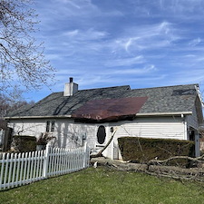 Dont-Be-Stumped-With-A-Claim-Tree-Damaged-Roof-Replaced-In-New-Albany-Indiana-Pro-Restoration-Plus 3